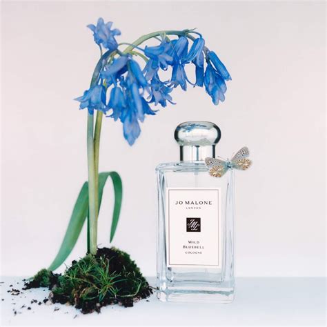 brands like jo malone|jo malone wild bluebell price.